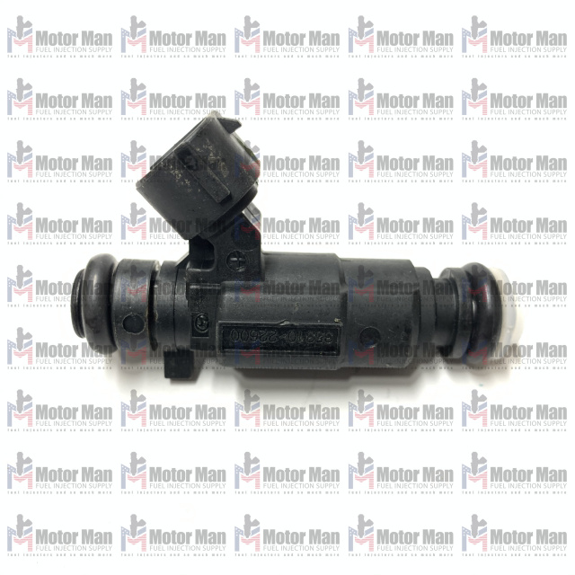 Fuel Injector Hyundai 35310 22600